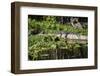 USA, Florida, Orange City, St. Johns River, Blue Spring SP, alligator.-Lisa S. Engelbrecht-Framed Photographic Print