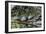 USA, Florida, Orange City, St. Johns River, Blue Spring SP, turtles.-Jim Engelbrecht-Framed Photographic Print