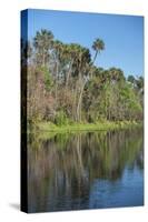 USA, Florida, Orange City, St. Johns River, Blue Spring State Park-Lisa S^ Engelbrecht-Stretched Canvas