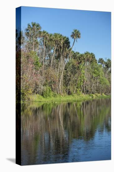 USA, Florida, Orange City, St. Johns River, Blue Spring State Park-Lisa S^ Engelbrecht-Stretched Canvas