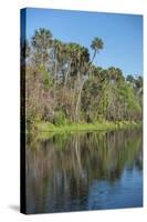 USA, Florida, Orange City, St. Johns River, Blue Spring State Park-Lisa S^ Engelbrecht-Stretched Canvas