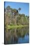 USA, Florida, Orange City, St. Johns River, Blue Spring State Park-Lisa S^ Engelbrecht-Stretched Canvas