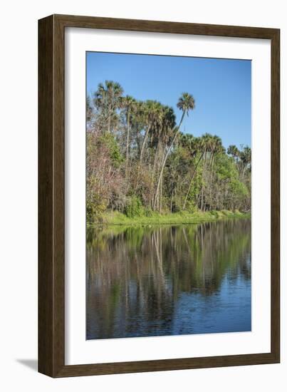 USA, Florida, Orange City, St. Johns River, Blue Spring State Park-Lisa S^ Engelbrecht-Framed Photographic Print