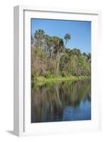 USA, Florida, Orange City, St. Johns River, Blue Spring State Park-Lisa S^ Engelbrecht-Framed Photographic Print