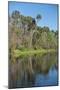 USA, Florida, Orange City, St. Johns River, Blue Spring State Park-Lisa S^ Engelbrecht-Mounted Photographic Print