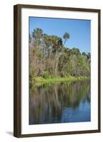USA, Florida, Orange City, St. Johns River, Blue Spring State Park-Lisa S^ Engelbrecht-Framed Photographic Print