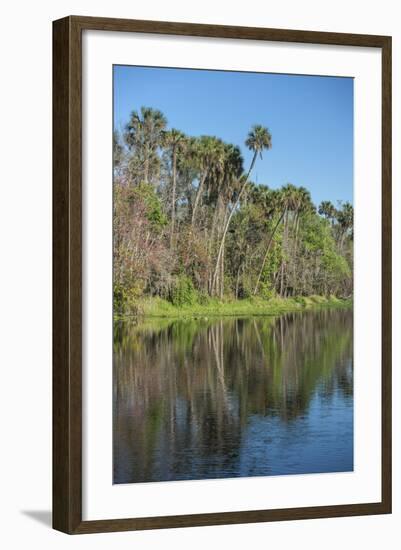 USA, Florida, Orange City, St. Johns River, Blue Spring State Park-Lisa S^ Engelbrecht-Framed Photographic Print