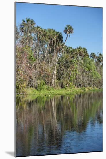 USA, Florida, Orange City, St. Johns River, Blue Spring State Park-Lisa S^ Engelbrecht-Mounted Photographic Print