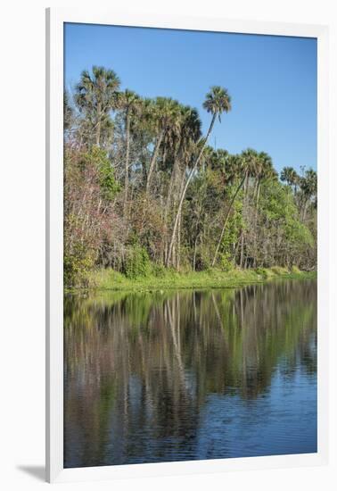 USA, Florida, Orange City, St. Johns River, Blue Spring State Park-Lisa S^ Engelbrecht-Framed Photographic Print