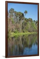 USA, Florida, Orange City, St. Johns River, Blue Spring State Park-Lisa S^ Engelbrecht-Framed Photographic Print