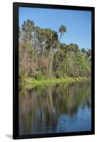 USA, Florida, Orange City, St. Johns River, Blue Spring State Park-Lisa S^ Engelbrecht-Framed Photographic Print