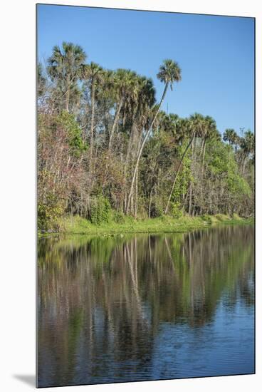 USA, Florida, Orange City, St. Johns River, Blue Spring State Park-Lisa S^ Engelbrecht-Mounted Premium Photographic Print