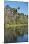 USA, Florida, Orange City, St. Johns River, Blue Spring State Park-Lisa S^ Engelbrecht-Mounted Premium Photographic Print