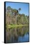 USA, Florida, Orange City, St. Johns River, Blue Spring State Park-Lisa S^ Engelbrecht-Framed Stretched Canvas