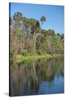 USA, Florida, Orange City, St. Johns River, Blue Spring State Park-Lisa S^ Engelbrecht-Stretched Canvas