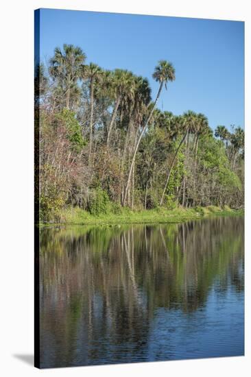 USA, Florida, Orange City, St. Johns River, Blue Spring State Park-Lisa S^ Engelbrecht-Stretched Canvas