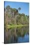 USA, Florida, Orange City, St. Johns River, Blue Spring State Park-Lisa S^ Engelbrecht-Stretched Canvas