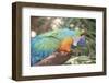 USA, Florida, Orlando. Blue-and-Yellow Macaw at Gatorland.-Lisa S. Engelbrecht-Framed Photographic Print