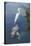 USA, Florida, Orlando, Egret Riding on Alligator, Gatorland-Lisa S^ Engelbrecht-Stretched Canvas