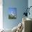 USA, Florida, Orlando. Great Blue Heron at Gatorland.-Lisa S. Engelbrecht-Photographic Print displayed on a wall