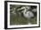 USA, Florida, Orlando, Great Blue Heron, Gatorland-Lisa S. Engelbrecht-Framed Photographic Print