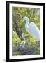 USA, Florida, Orlando. Great Egret and baby egret at Gatorland.-Jim Engelbrecht-Framed Premium Photographic Print