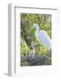 USA, Florida, Orlando. Great Egret and baby egret at Gatorland.-Jim Engelbrecht-Framed Photographic Print