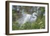 USA, Florida, Orlando. Great Egret at Gatorland.-Jim Engelbrecht-Framed Photographic Print