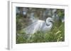 USA, Florida, Orlando. Great Egret at Gatorland.-Jim Engelbrecht-Framed Photographic Print