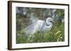 USA, Florida, Orlando. Great Egret at Gatorland.-Jim Engelbrecht-Framed Photographic Print