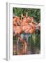 USA, Florida, Orlando, Pink Flamingos, Gatorland-Jim Engelbrecht-Framed Photographic Print