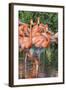 USA, Florida, Orlando, Pink Flamingos, Gatorland-Jim Engelbrecht-Framed Photographic Print