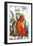 USA, Florida, Orlando, Scarlett Macaw, Gatorland-Lisa S. Engelbrecht-Framed Photographic Print