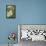 USA, Florida, Orlando, Snowy Egret, Gatorland-Lisa S. Engelbrecht-Framed Stretched Canvas displayed on a wall
