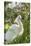 USA, Florida, Orlando, Snowy Egret, Gatorland-Lisa S. Engelbrecht-Stretched Canvas