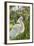 USA, Florida, Orlando, Snowy Egret, Gatorland-Lisa S. Engelbrecht-Framed Photographic Print