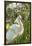 USA, Florida, Orlando, Snowy Egret, Gatorland-Lisa S. Engelbrecht-Framed Photographic Print