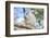 USA, Florida, Orlando. White Cockatoo at Gatorland.-Lisa S. Engelbrecht-Framed Photographic Print