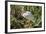 USA, Florida, Orlando, White Ibis, Gatorland-Lisa S. Engelbrecht-Framed Photographic Print