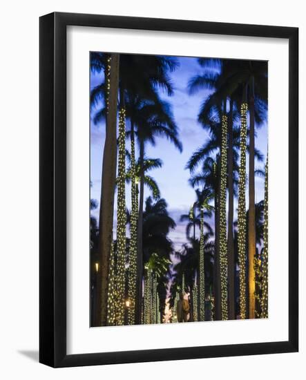 USA, Florida, Palm Beach, Palms on Royal Palm Way-Walter Bibikow-Framed Photographic Print