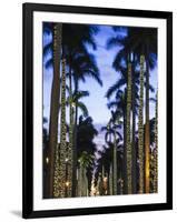 USA, Florida, Palm Beach, Palms on Royal Palm Way-Walter Bibikow-Framed Photographic Print