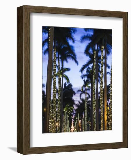 USA, Florida, Palm Beach, Palms on Royal Palm Way-Walter Bibikow-Framed Photographic Print