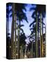 USA, Florida, Palm Beach, Palms on Royal Palm Way-Walter Bibikow-Stretched Canvas