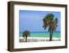 USA, Florida. Palm trees on Emerald Coast near Destin.-Anna Miller-Framed Photographic Print