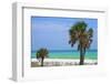 USA, Florida. Palm trees on Emerald Coast near Destin.-Anna Miller-Framed Photographic Print