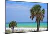 USA, Florida. Palm trees on Emerald Coast near Destin.-Anna Miller-Mounted Photographic Print