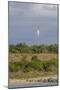 USA, Florida, Port Canaveral. A Space X rocket being launched from Cape Canaveral-Hollice Looney-Mounted Photographic Print