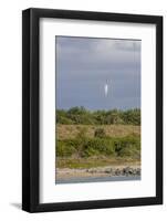 USA, Florida, Port Canaveral. A Space X rocket being launched from Cape Canaveral-Hollice Looney-Framed Photographic Print