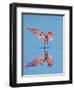 USA, Florida, Sanibel Island, Ding Darling National Wildlife Reserve, Roseate Spoonbill-Bernard Friel-Framed Photographic Print