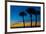 USA, Florida, Sarasota, Crescent Beach, Siesta Key. sunset and palm trees-Bernard Friel-Framed Premium Photographic Print